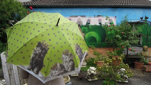 Orval, Regenschirm, Katzen