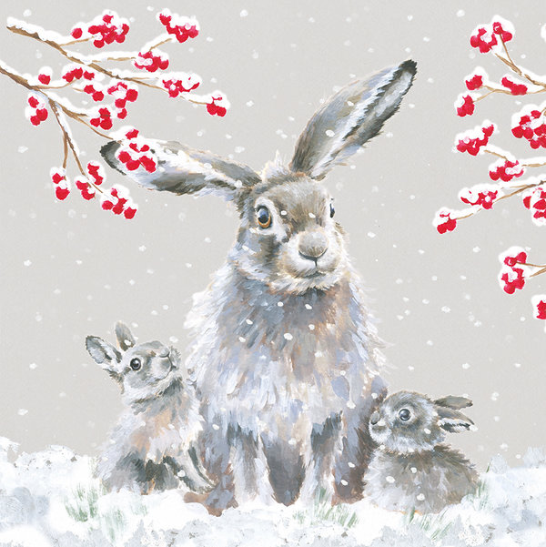 Wrendale Luxus Weihnachtskartenset mit Hasen im Schnee