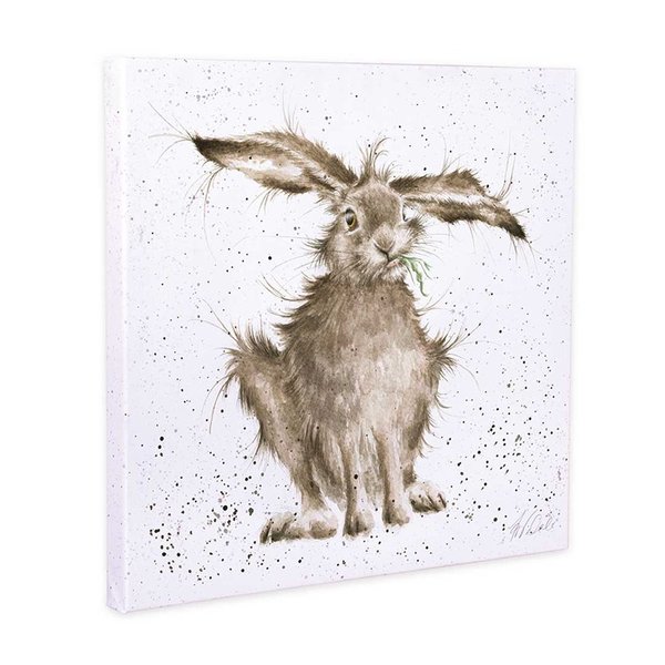 Wrendale Leinwandbild 20 x 20 cm Hase Hare brained