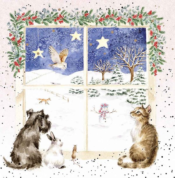 Wrendale Weihnachtskartenset, "Christmas Window", Katze, Hund, Hase, Maus