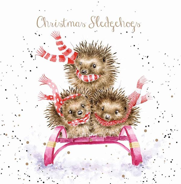Wrendale Weihnachtskartenset mit Igeln "Sledgehogs"