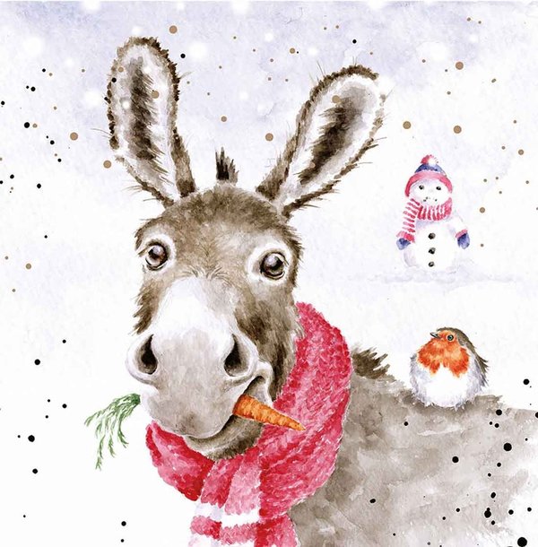 Wrendale Weihnachtskartenset "Muletide Greetings" - Esel