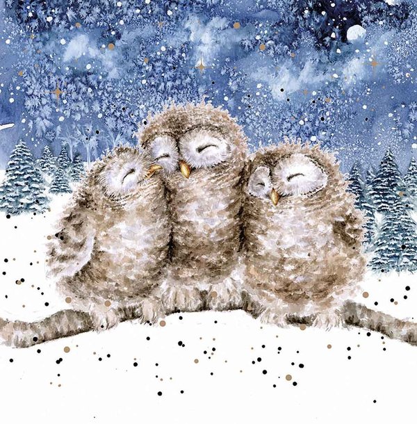 Wrendale Weihnachtskartenset mit Eulen "Three Wise Men"