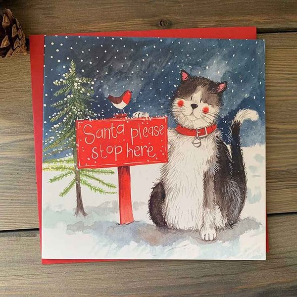 Alex Clark Charity Weihnachtskarten 5er Set "Santa please stop here" Katze